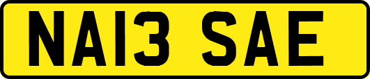 NA13SAE