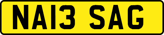 NA13SAG