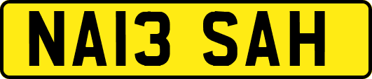 NA13SAH