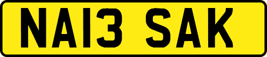 NA13SAK