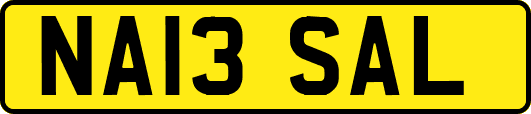NA13SAL