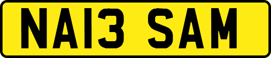 NA13SAM