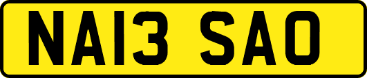 NA13SAO