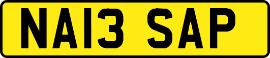 NA13SAP