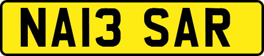 NA13SAR