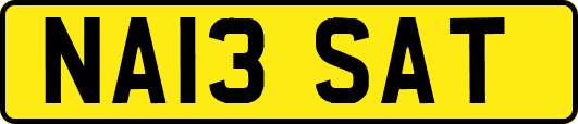 NA13SAT