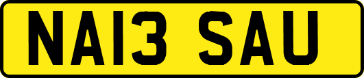 NA13SAU