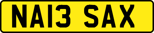 NA13SAX
