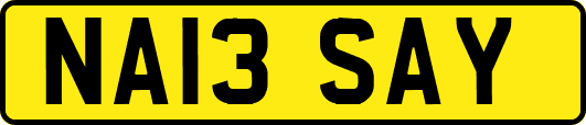 NA13SAY