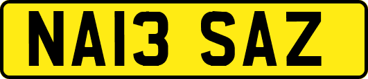 NA13SAZ