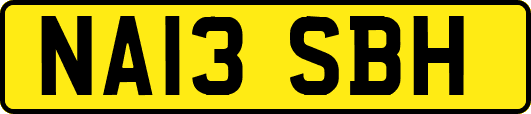 NA13SBH