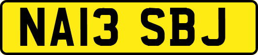 NA13SBJ