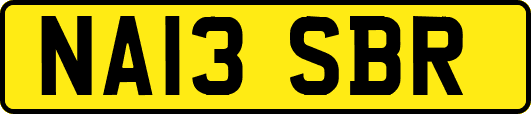 NA13SBR