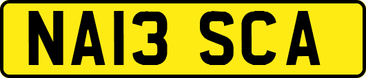 NA13SCA
