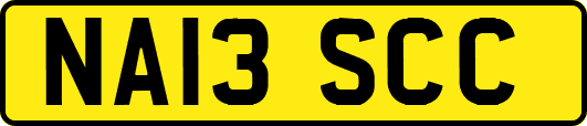 NA13SCC