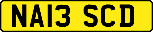 NA13SCD