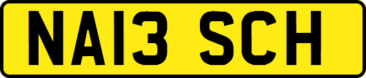 NA13SCH