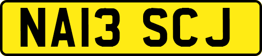 NA13SCJ