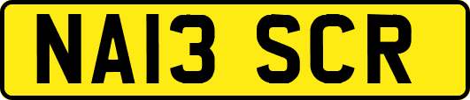 NA13SCR