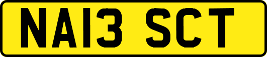 NA13SCT