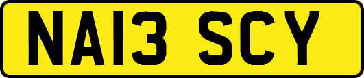 NA13SCY