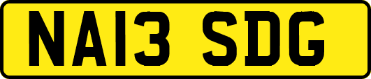 NA13SDG