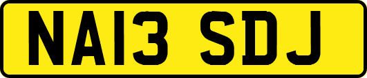 NA13SDJ
