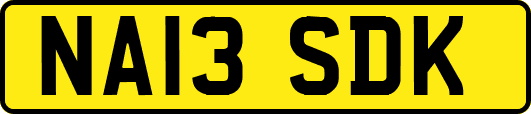 NA13SDK