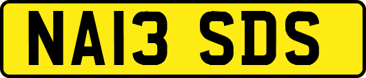 NA13SDS