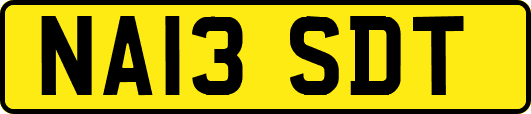NA13SDT
