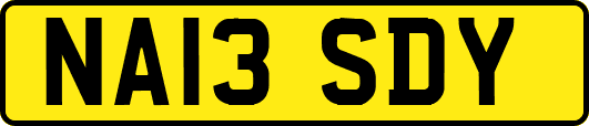 NA13SDY