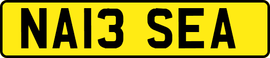 NA13SEA