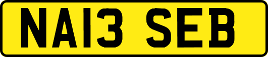 NA13SEB