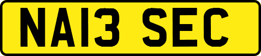 NA13SEC