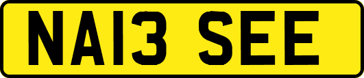 NA13SEE