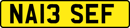 NA13SEF