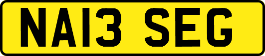 NA13SEG