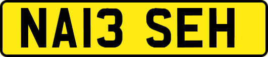 NA13SEH