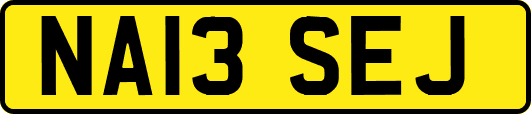 NA13SEJ