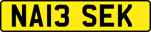 NA13SEK