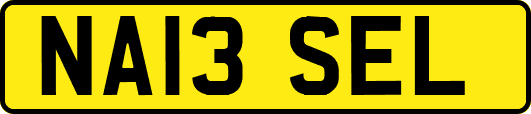 NA13SEL