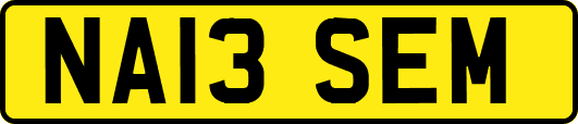 NA13SEM