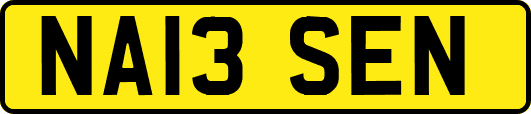 NA13SEN