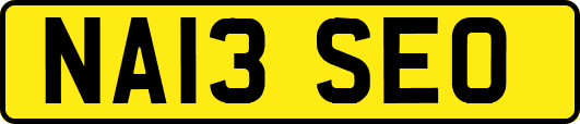 NA13SEO