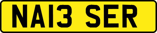 NA13SER