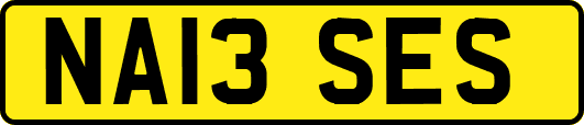 NA13SES
