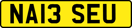 NA13SEU