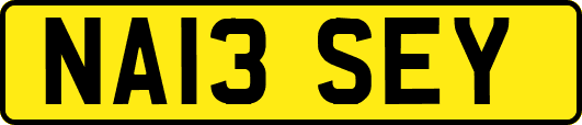 NA13SEY