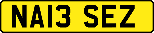 NA13SEZ