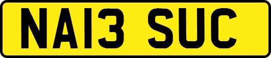 NA13SUC